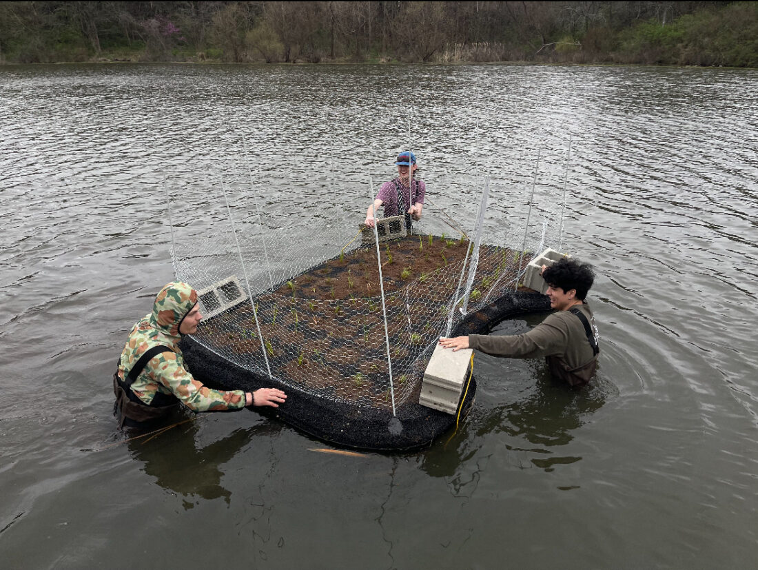 Prairie Park’s artificial floating island is cleaning the water and hosting all kinds of wildlife